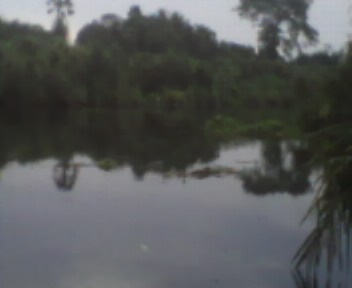 Sungai siak Di tanjung Belit